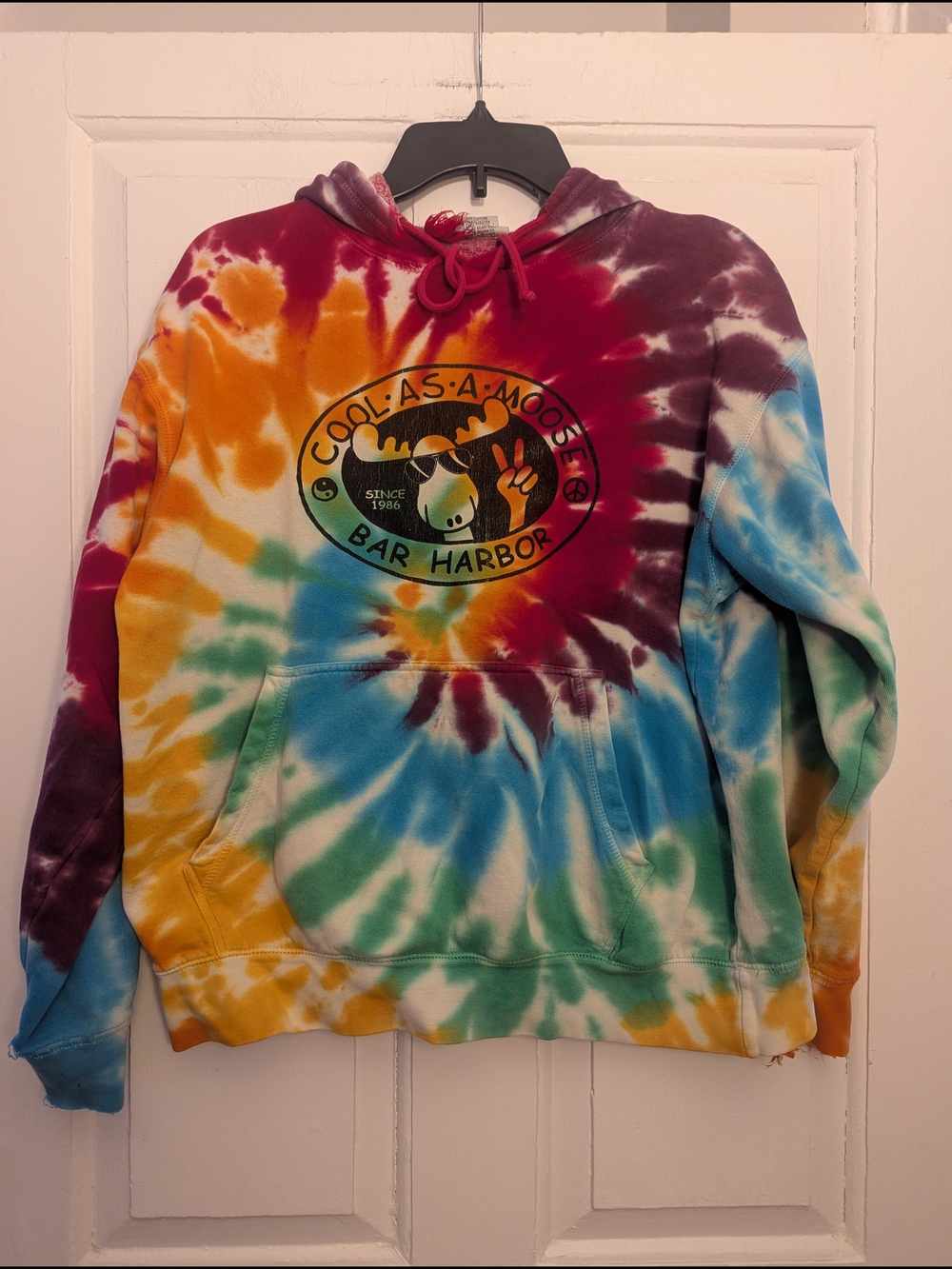 Cool As A Moose Multicolor Tie-Dye Hoodie - Bar Harbor